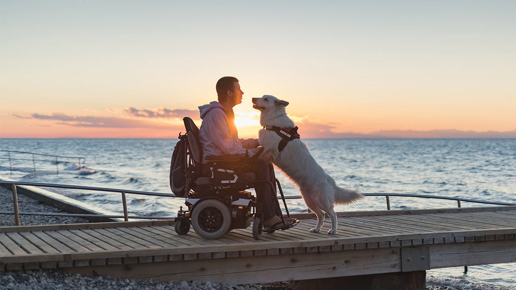 A person in a wheelchair plays with a standing dog on a wooden boardwalk by the sea during an orange and pink sunset.