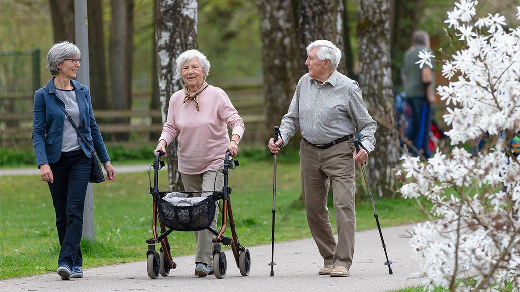 An elderly woman with a walker, an elderly man with hiking poles, and a younger woman walk on a park path among trees and white flowers.