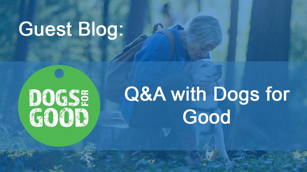 An older person hugs a dog while sitting on a tree stump in a forest. Text: Guest Blog: Q&A with Dogs for Good. Green logo on left.