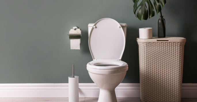 A clean bathroom with a white toilet against a green wall. Nearby are a toilet brush, wicker basket, plant, and extra toilet paper.