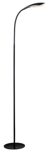Black LED floor lamp with slim stand, curved neck, oval light and round base, modern design; front view.