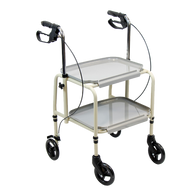 Indoor Trolleys