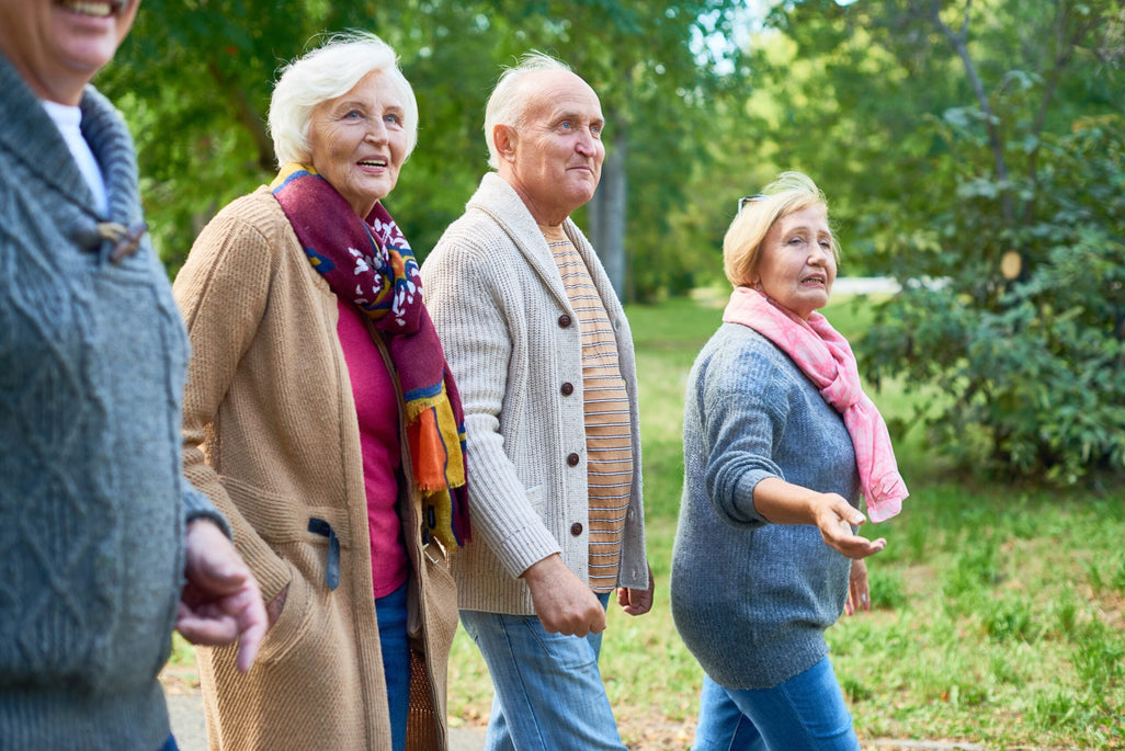 Four elderly people in warm clothes walk happily together in a sunny park with green trees and grass visible.