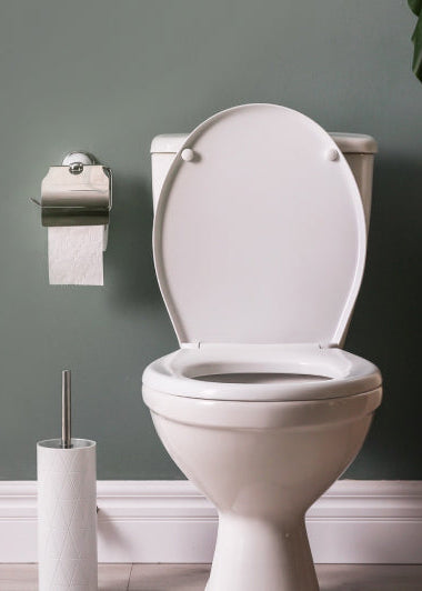 A clean bathroom with a white toilet against a green wall. Nearby are a toilet brush, wicker basket, plant, and extra toilet paper. Image