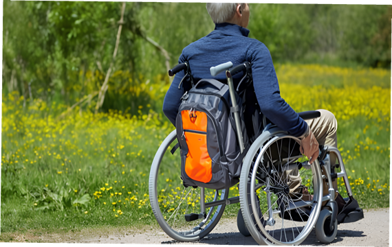 A person in a wheelchair with a bright orange backpack travels on a path through yellow flowers and green trees on a sunny day.