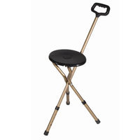 Adjustable Walking Stick/Seat