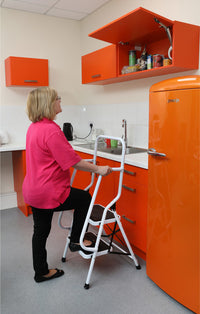 Two Step Safety Ladder