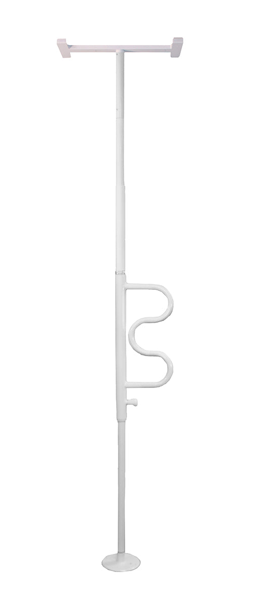 Security Pole and Curved Grab Bar Image 4