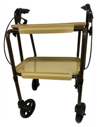 Indoor Trolley with Brakes