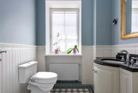 Ashby Lift Toilet Raiser