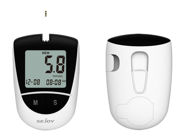 Blood Glucose Monitoring System Image 2