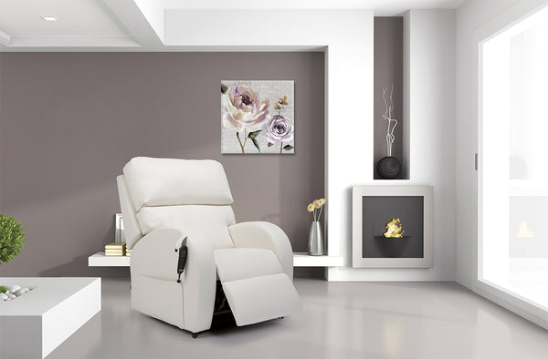 Infinity Standard Dual Motor Riser Recliner Chair Image 3