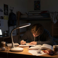 Professional Reading Desk Light - White