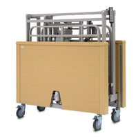 Olympus Folding Bariatric Bed