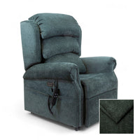 Express ErgoRise Chair with Winter Moss Swatch