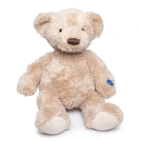 Music Bear Arthur, a fluffy therapeutic teddy bear with a dark brown nose and blue tag, front view.