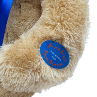 Music Bear Arthur therapeutic teddy bear paw with a button that reads Arthur squeeze me Paws Button, close-up front view.