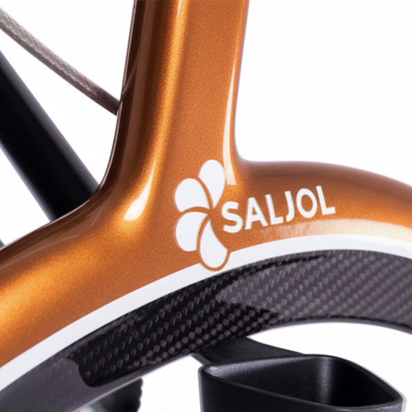 Saljol Carbon Rollator with carbon fibre finish and Saljol branding, close-up view.